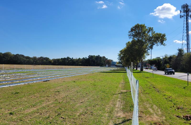 The Magees have been farming this field off Wescoats Road for decades, but this is the first time their over-winter crop is running parallel to the road. Typically, the rows run back to Clay Road.